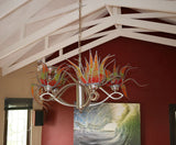 Aloe wire craft lampshade