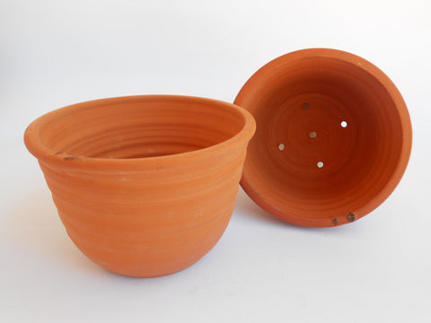 Plant Pots, John Steele, Plant Pots- The Wild Coast Trading Company