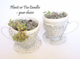 Wire Tea Cup Plant Holder, The Wireman, Plant Holder- The Wild Coast Trading Company